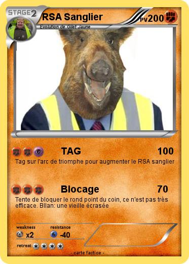 Pokemon RSA Sanglier