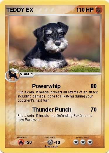 Pokemon TEDDY EX