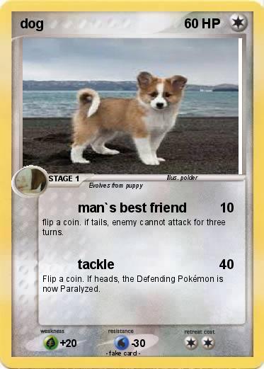 Pokemon dog