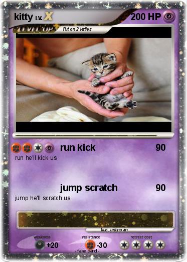 Pokemon kitty