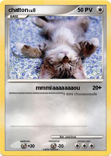 Pokemon chatton