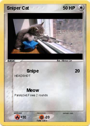 Pokemon Sniper Cat