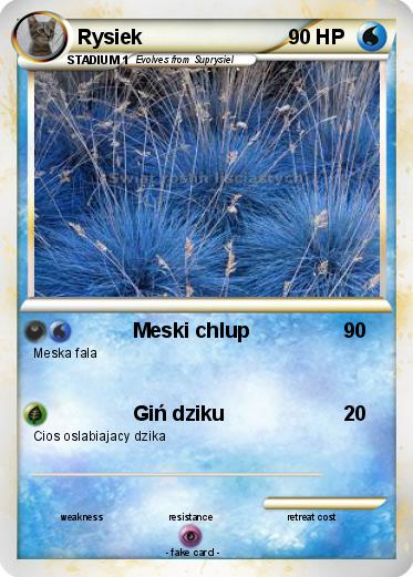 Pokemon Rysiek
