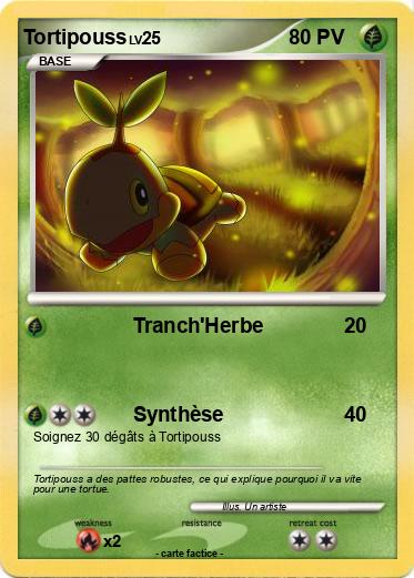 Pokemon Tortipouss