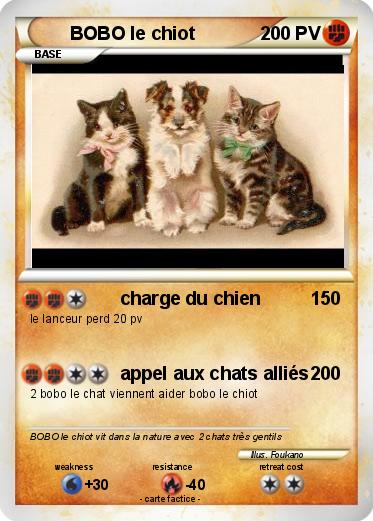 Pokemon BOBO le chiot