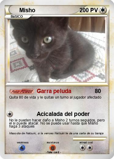 Pokemon Misho