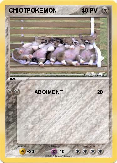 Pokemon CHIOTPOKEMON