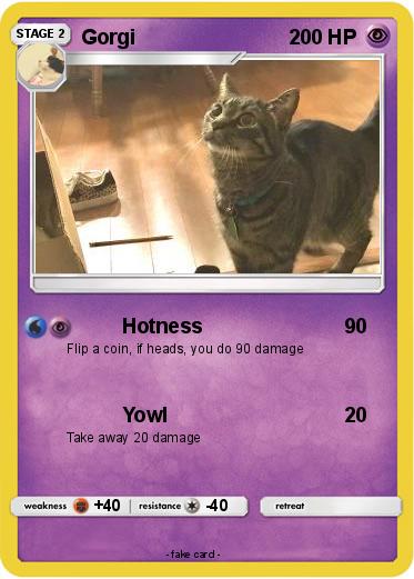 Pokemon Gorgi