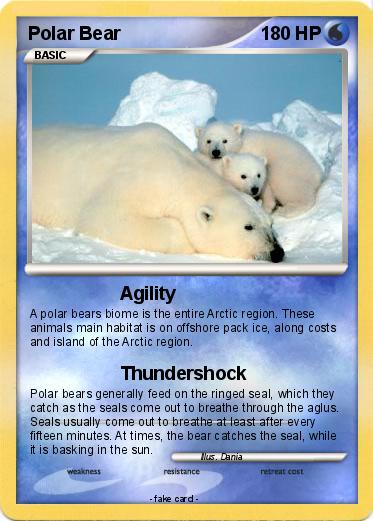 Pokemon Polar Bear
