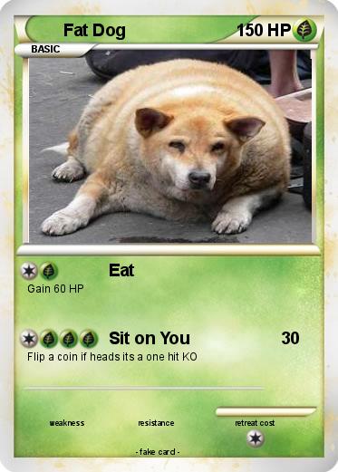 Pokemon Fat Dog