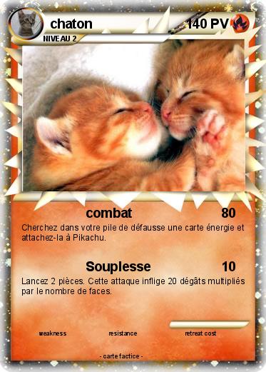 Pokemon chaton