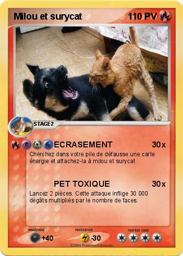 Pokemon Milou et surycat