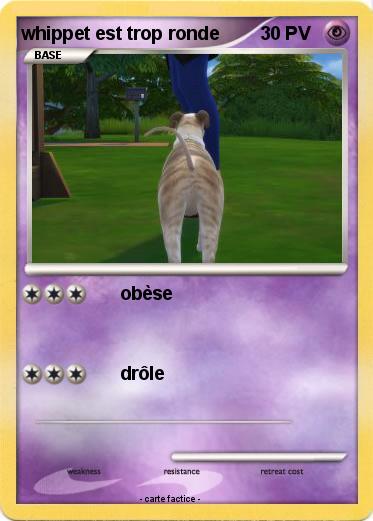 Pokemon whippet est trop ronde