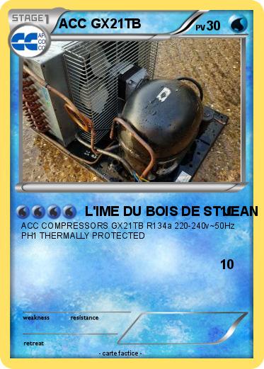Pokemon ACC GX21TB