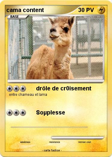 Pokemon cama content