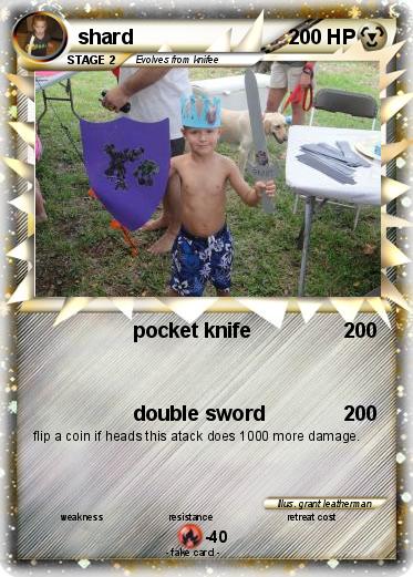 Pokemon shard