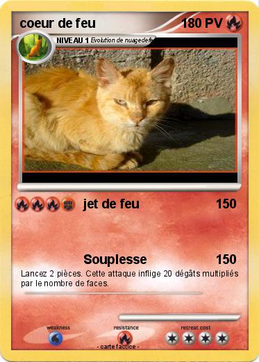 Pokemon coeur de feu