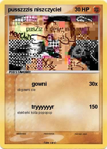 Pokemon pusszzzis niszczyciel