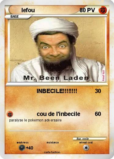 Pokemon lefou