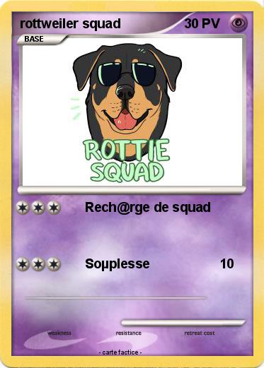 Pokemon rottweiler squad
