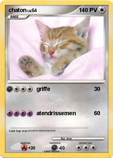 Pokemon chaton