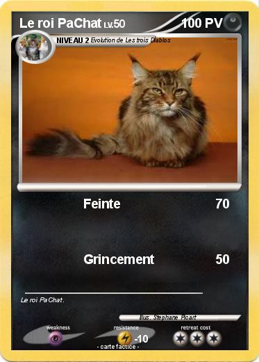 Pokemon Le roi PaChat