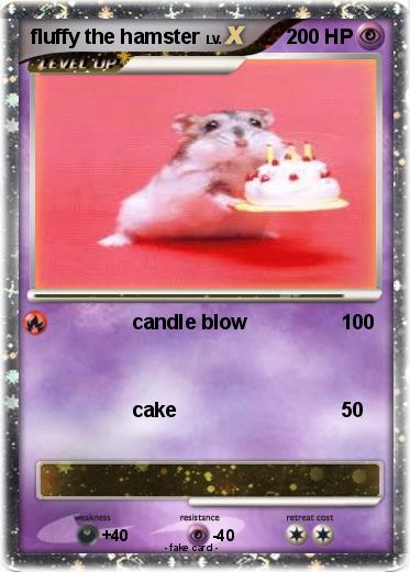 Pokemon fluffy the hamster