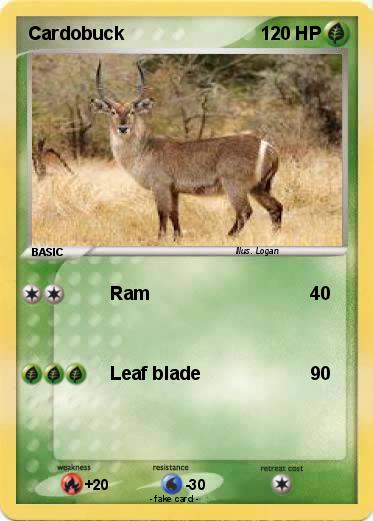 Pokemon Cardobuck