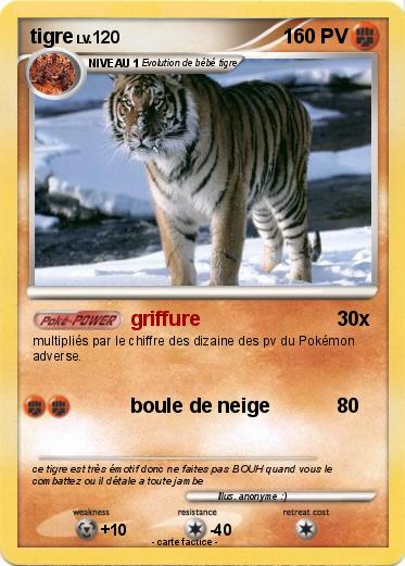 Pokemon tigre