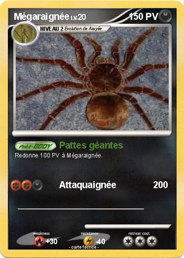 Pokemon Mégaraignée