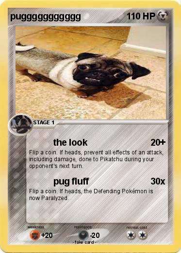 Pokemon puggggggggggg