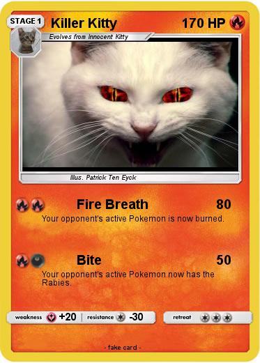 Pokemon Killer Kitty