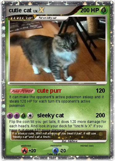 Pokemon cutie cat