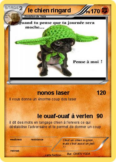 Pokemon le chien ringard