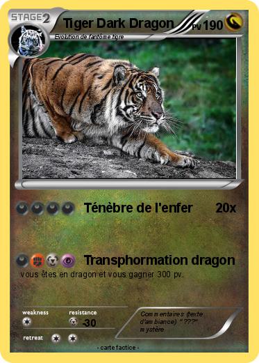 Pokemon Tiger Dark Dragon