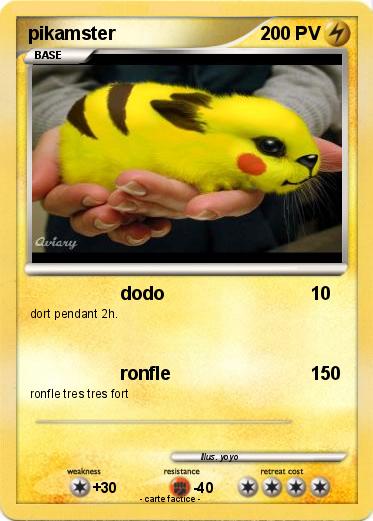 Pokemon pikamster