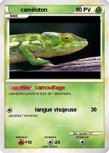 Pokemon caméloton