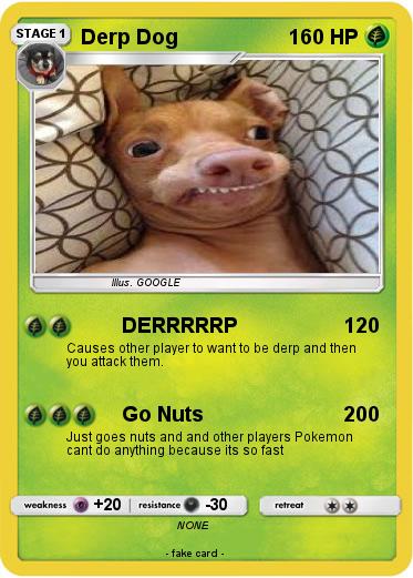 Pokemon Derp Dog