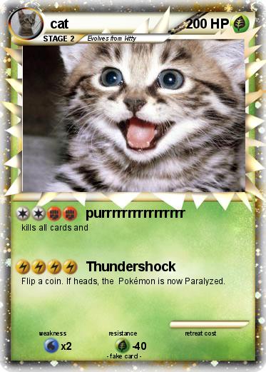 Pokemon cat