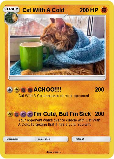 Pokemon Cat With A Cold