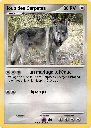 Pokemon loup des Carpates