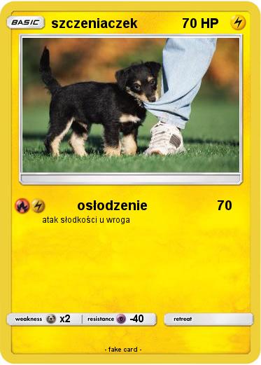 Pokemon szczeniaczek