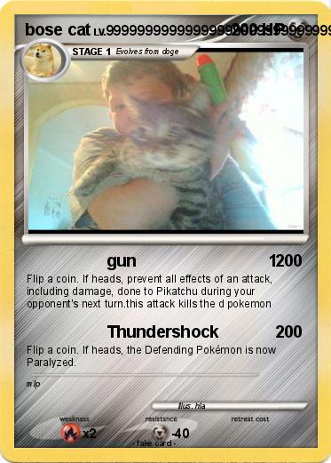 Pokemon bose cat