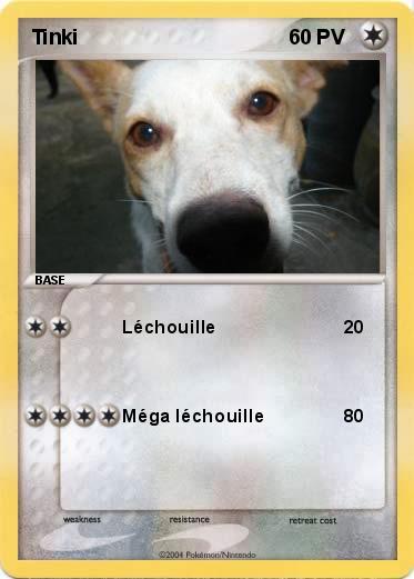 Pokemon Tinki