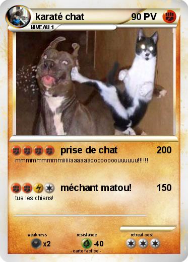 Pokemon karaté chat