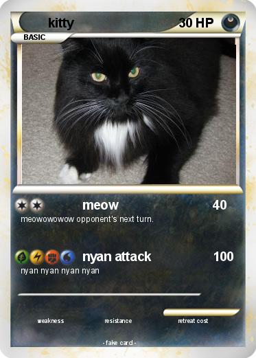Pokemon kitty