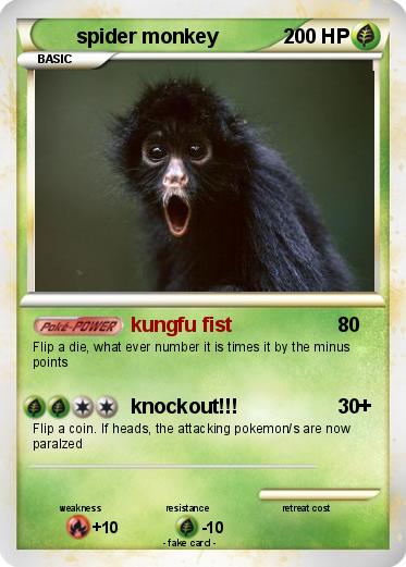 Pokemon spider monkey