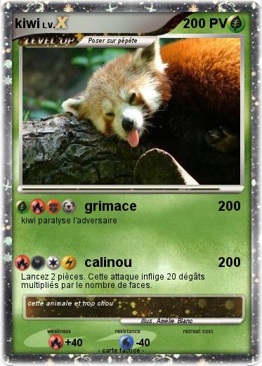 Pokemon kiwi