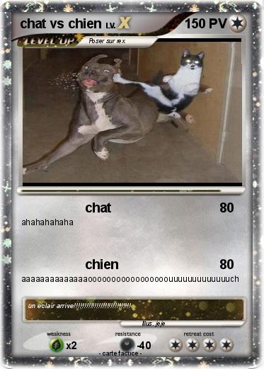 Pokemon chat vs chien