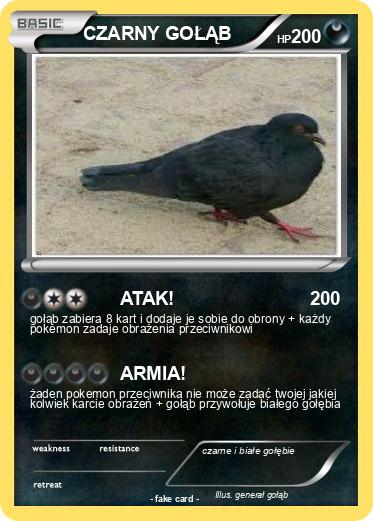Pokemon CZARNY GOŁĄB